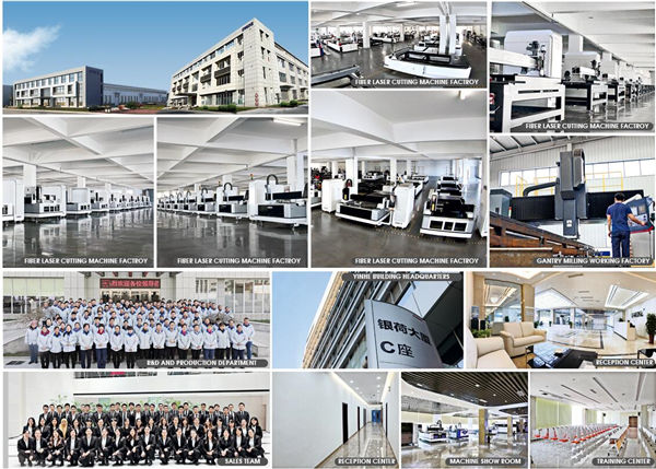 Informatiile Companiei